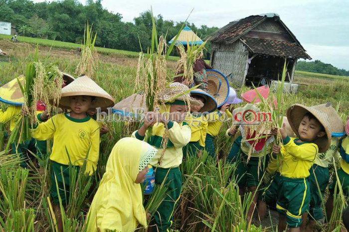 Ceria, Turut Panen Bersama